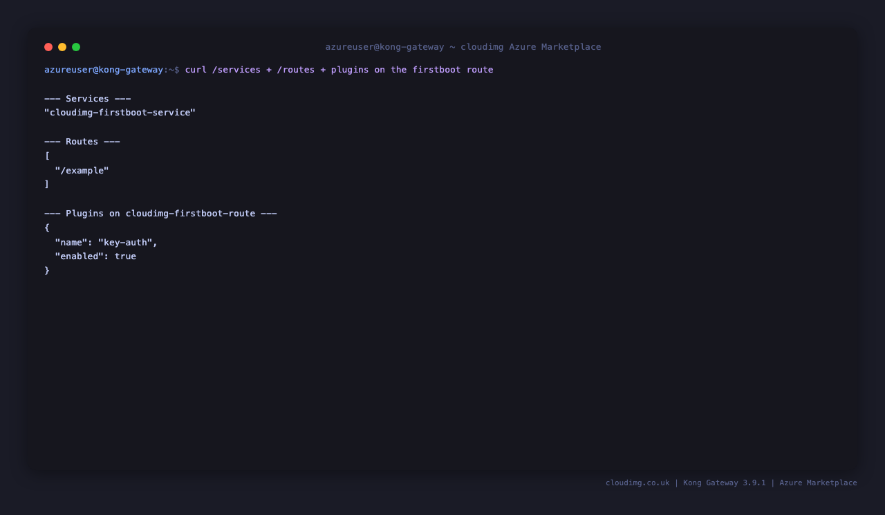 Kong Admin API services + routes endpoints showing the example wired up at firstboot
