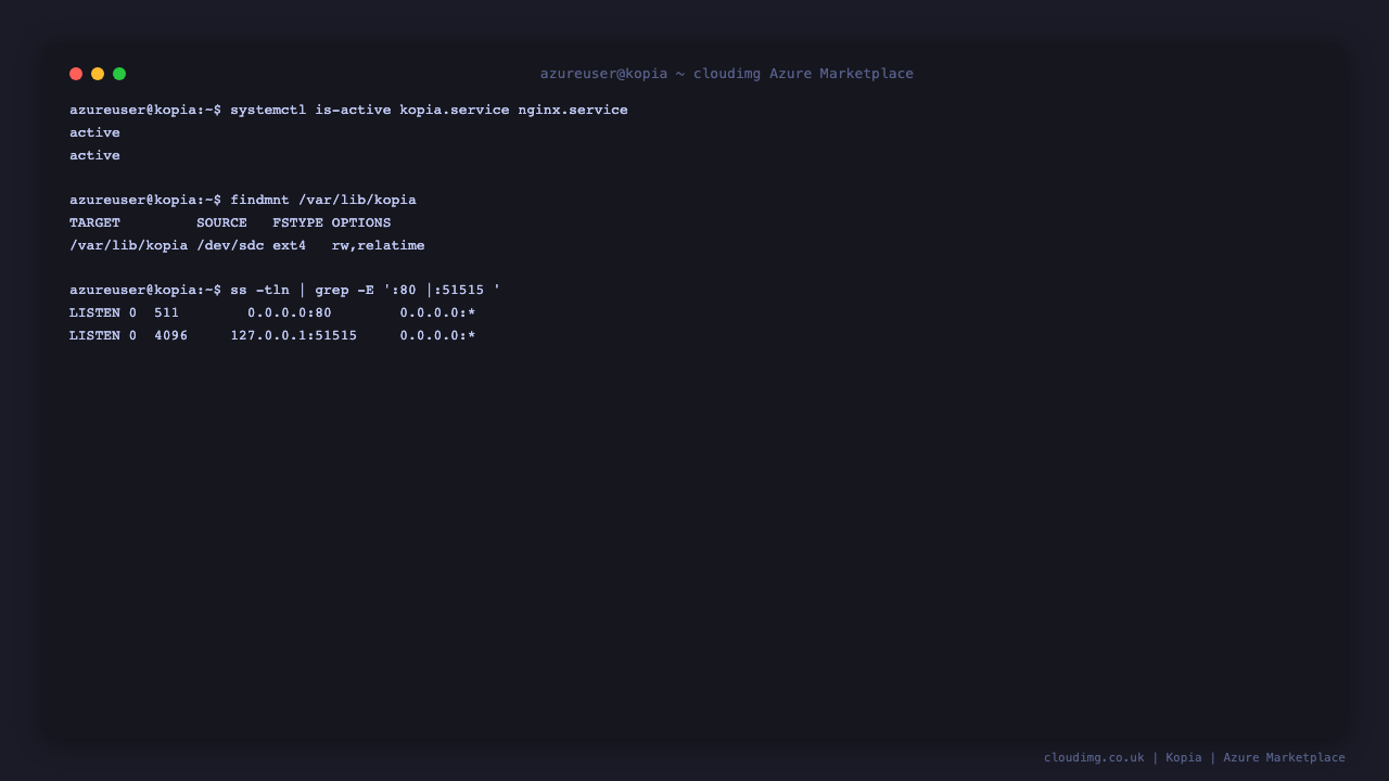 kopia.service and nginx.service active with the dedicated data disk mounted