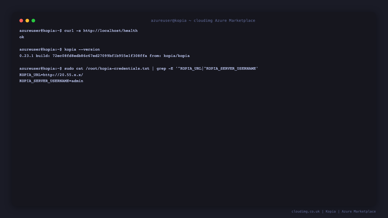 Kopia health endpoint returning ok and the installed Kopia version