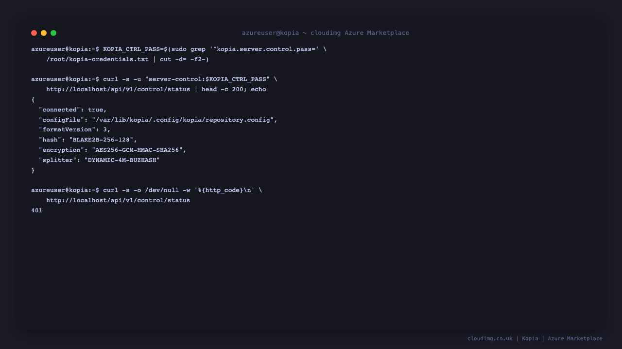 Retrieving the per-VM server password and authenticating against the Kopia API