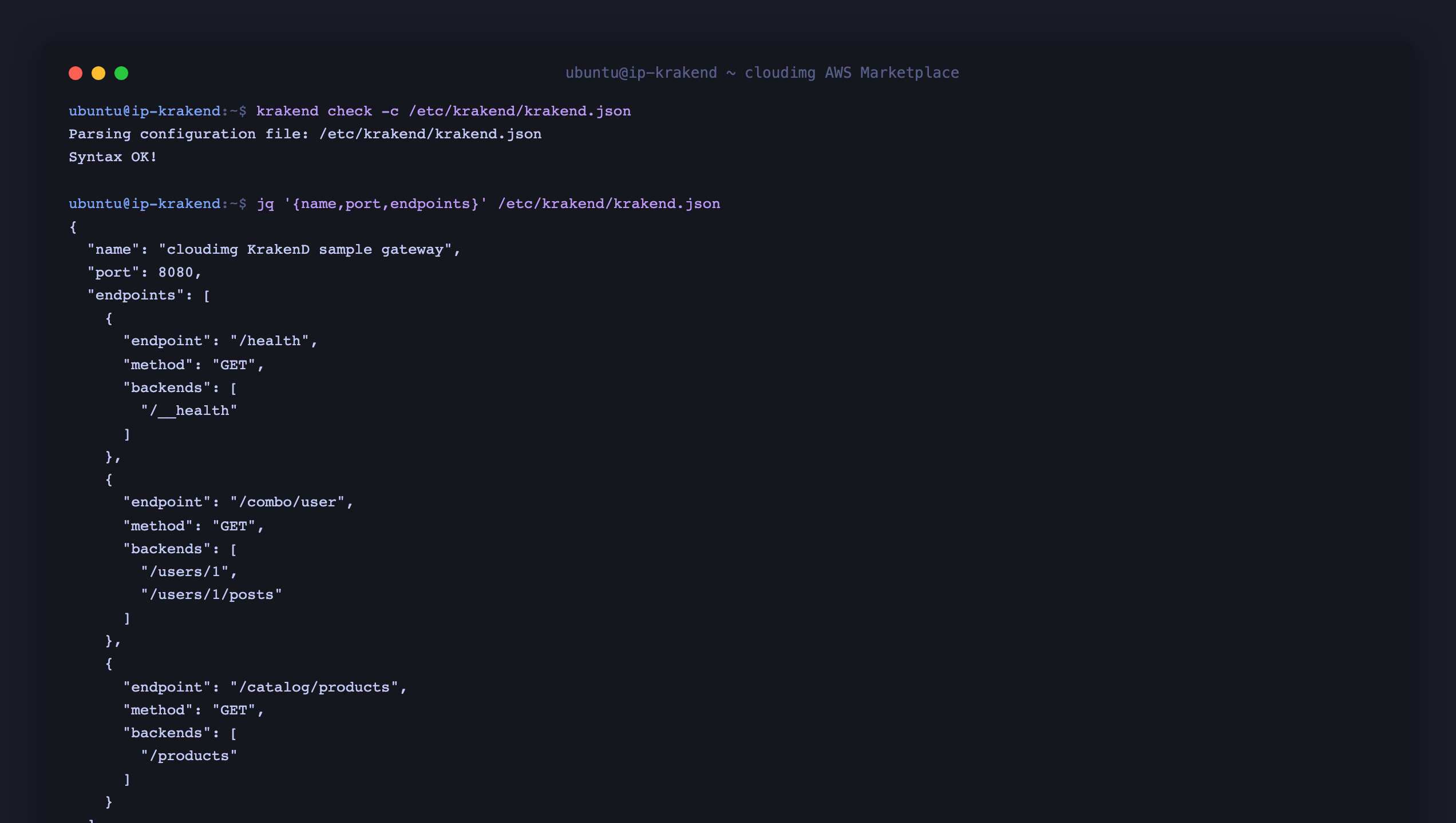 The sample krakend.json declaring the health, aggregation and proxy endpoints, validated by krakend check, with the gateway listening on port 8080 behind nginx on port 80