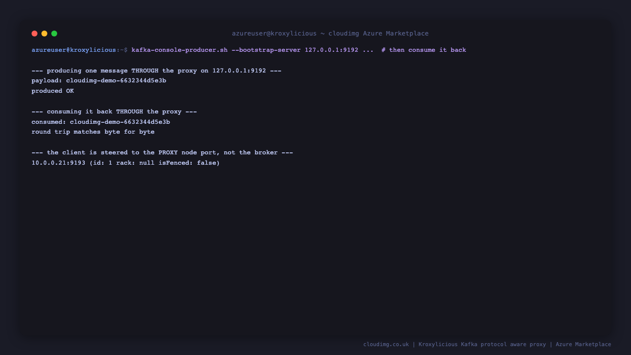 A message is produced through the proxy on port 9192 and consumed back through the proxy, with the consumed payload matching the produced payload byte for byte, and the cluster metadata showing the client is steered to the proxy node port 9193 rather than to the backing broker