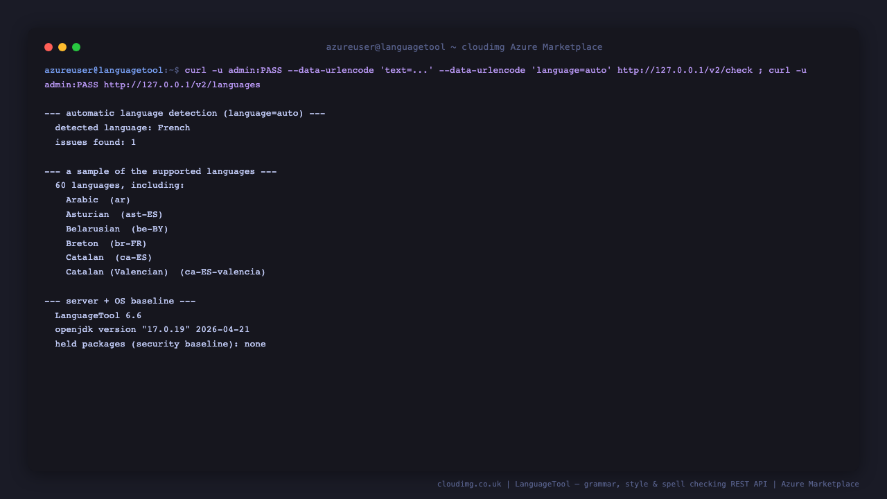 Terminal showing LanguageTool auto detecting French text and listing the supported languages with their codes