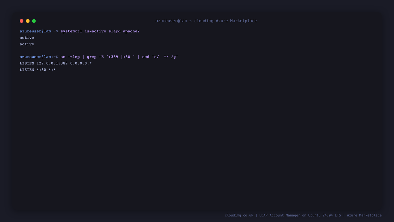 The slapd and apache2 services reported active, with Apache listening on port 80 and slapd bound to loopback 127.0.0.1:389