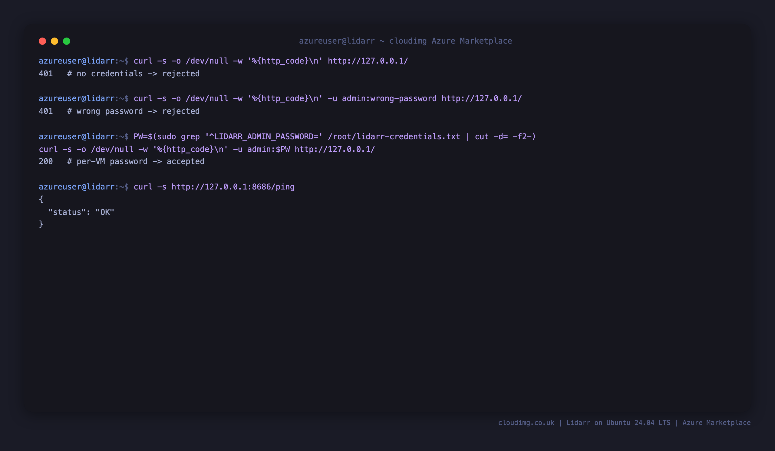 The Basic auth gate rejecting no credentials and a wrong password with 401, accepting the per VM password with 200, and the health endpoint returning status OK