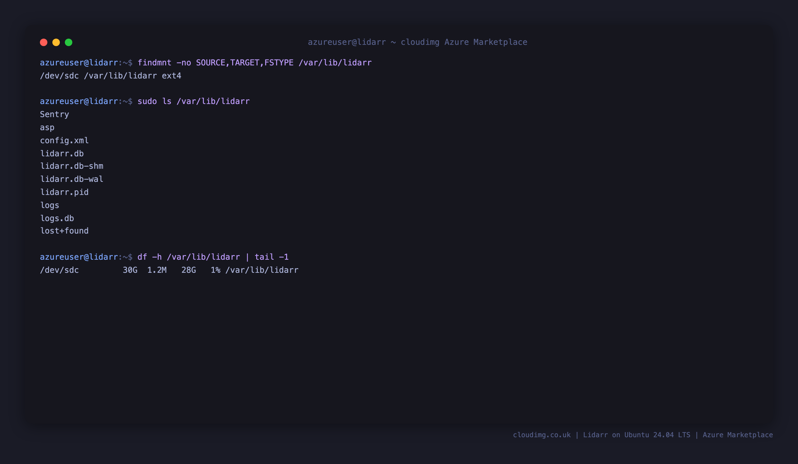 The Lidarr data disk mounted at /var/lib/lidarr holding config.xml and the SQLite databases