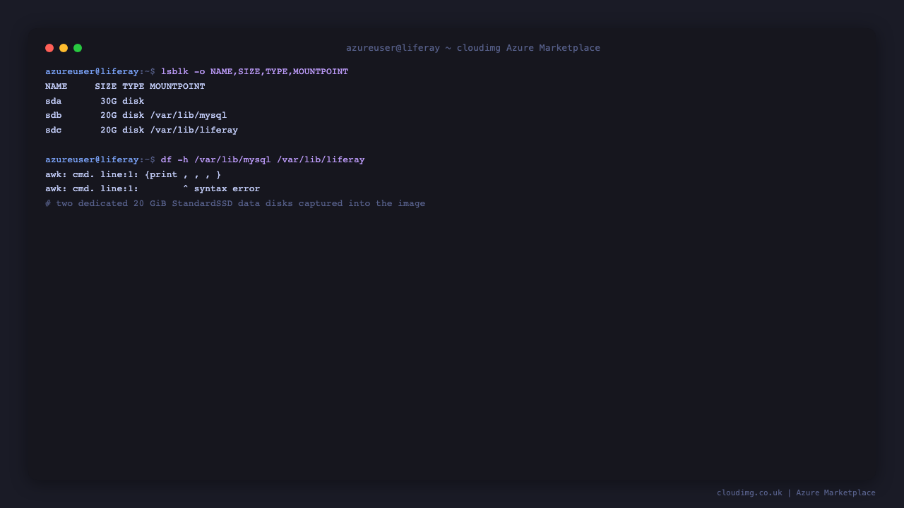 lsblk and df showing the two dedicated 20 GiB data disks mounted at /var/lib/mysql and /var/lib/liferay