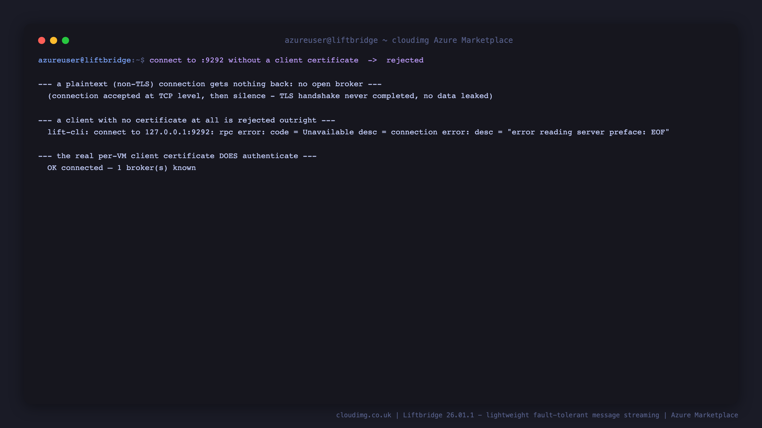 a plaintext connection to port 9292 returns nothing at all, and lift-cli with -insecure (no client certificate) is rejected with a TLS handshake error, while the real per-VM client certificate connects successfully