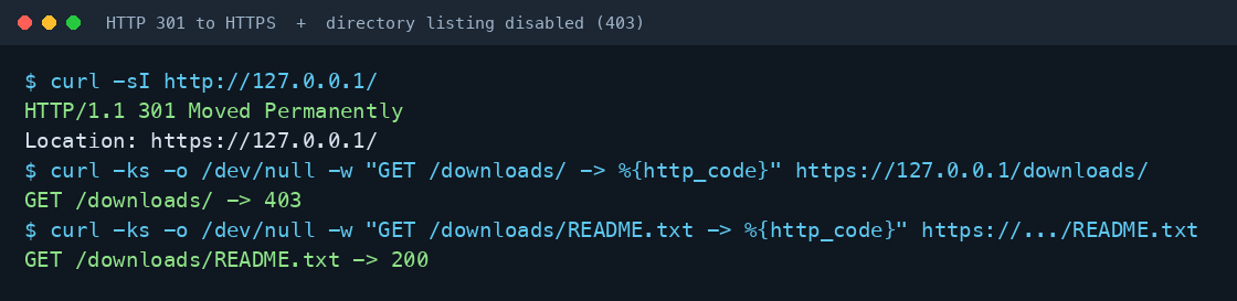 curl over HTTP returns 301 Moved Permanently with a Location header pointing at the HTTPS URL, a request for the index less downloads directory returns 403 Forbidden proving directory listing is disabled, and a request for a file inside that directory returns 200