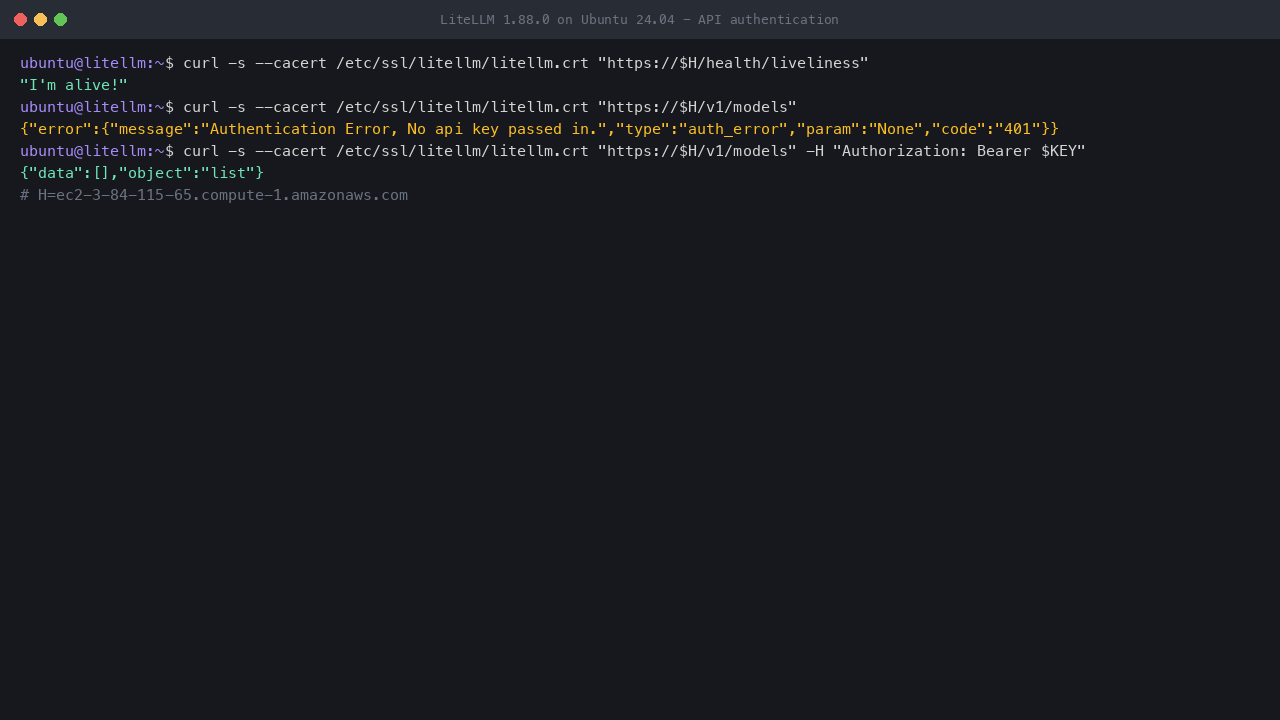 The liveliness check, an anonymous /v1/models call refused with LiteLLM's 401 auth_error, and the same call with the master key returning an empty model list
