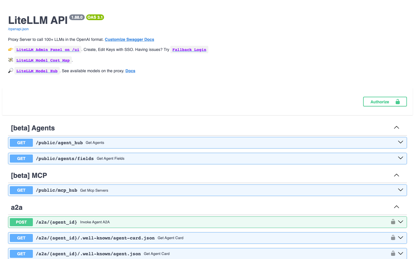 LiteLLM OpenAI-compatible API documentation served through nginx on port 80