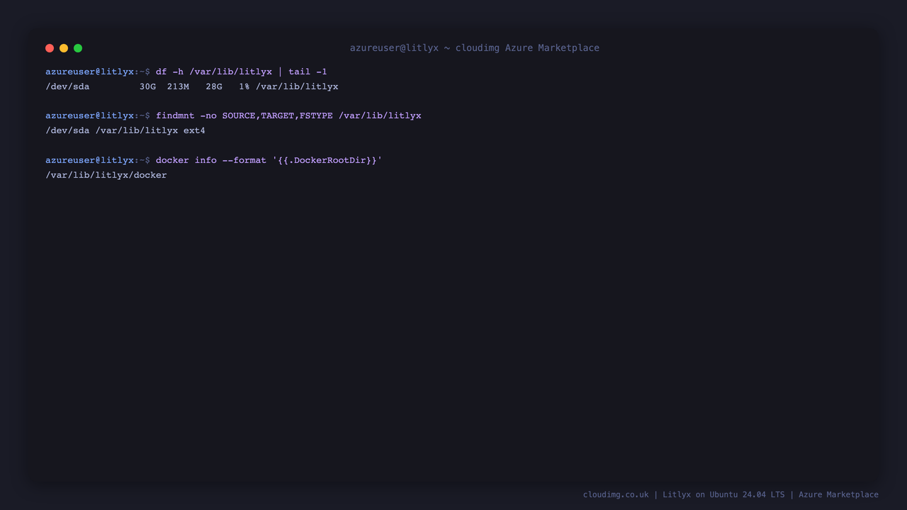 The Docker data-root and all Litlyx data on the dedicated ext4 data disk mounted at /var/lib/litlyx