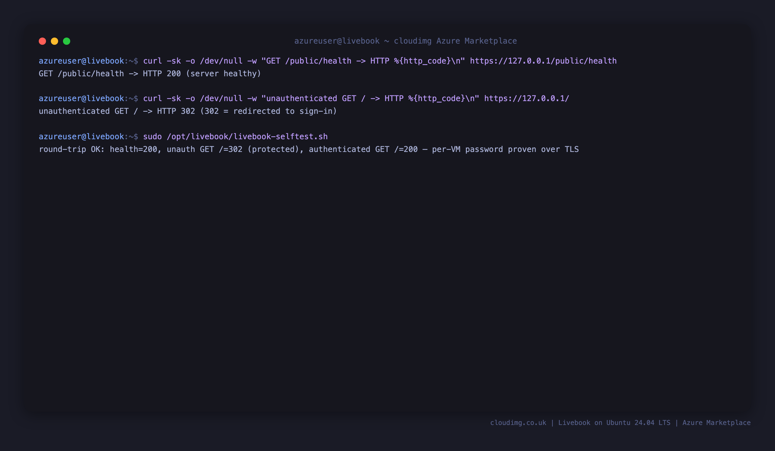 Terminal showing the health endpoint returning HTTP 200, an unauthenticated request redirected with HTTP 302, and the credential round trip proving the per VM password authenticates over TLS