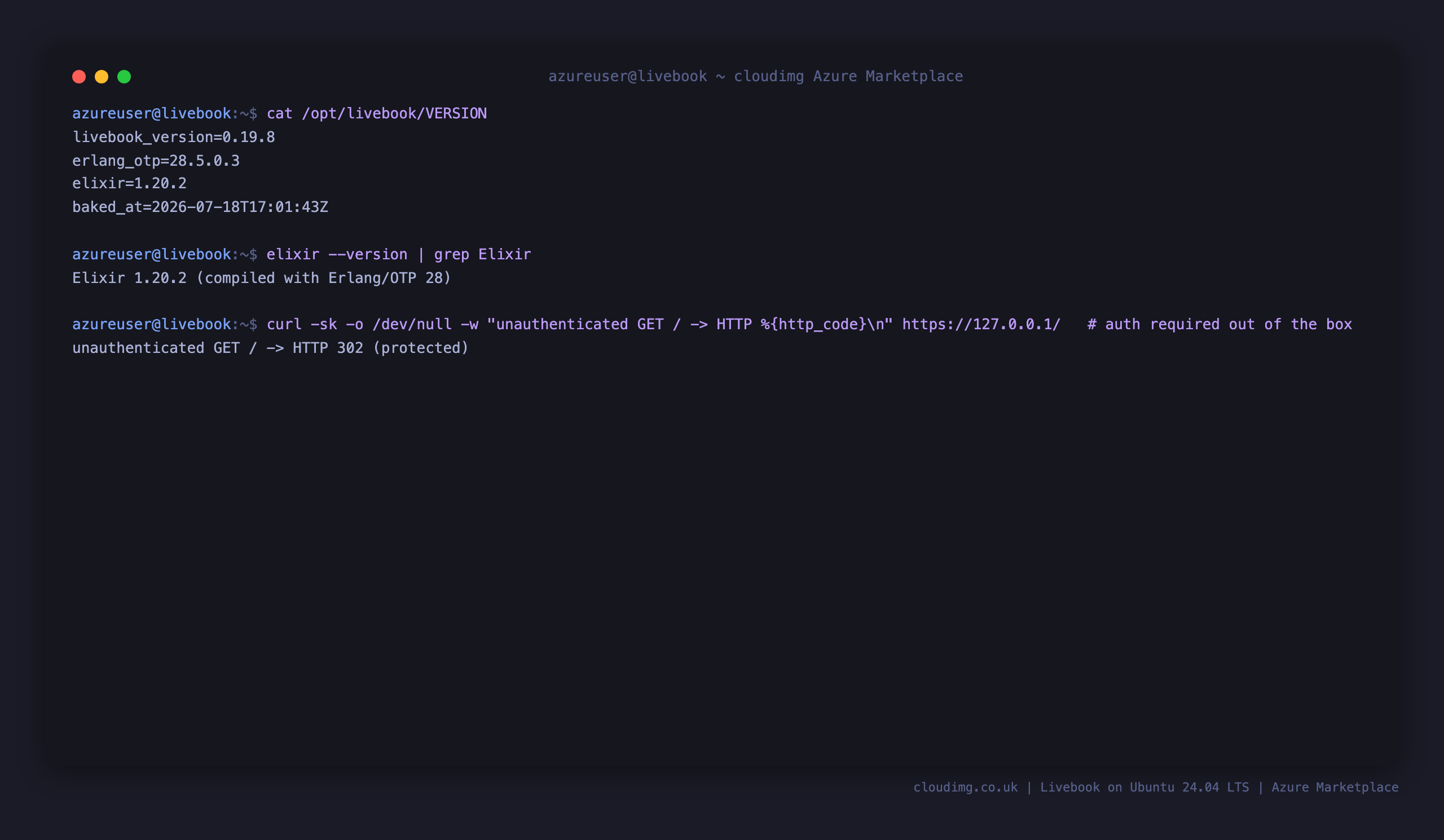 Terminal showing the baked Livebook, Erlang OTP and Elixir versions and an unauthenticated request to the root returning HTTP 302 because authentication is required