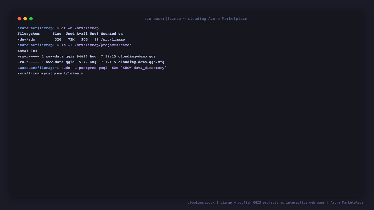 The dedicated data volume carrying both the published projects and the PostgreSQL cluster
