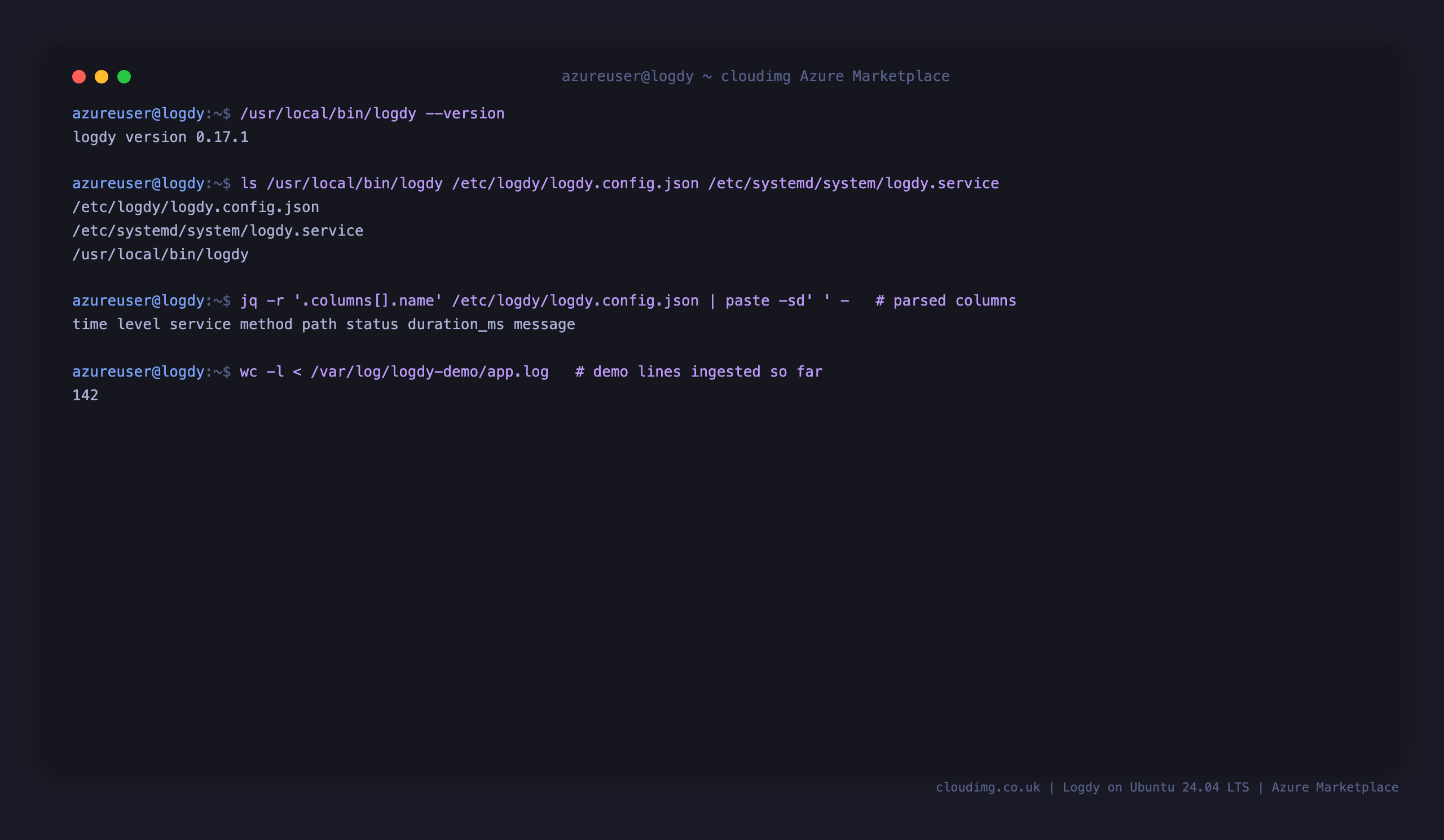 Logdy reporting version 0.17.1, the installed component paths, and the eight columns the layout parses from the structured JSON logs