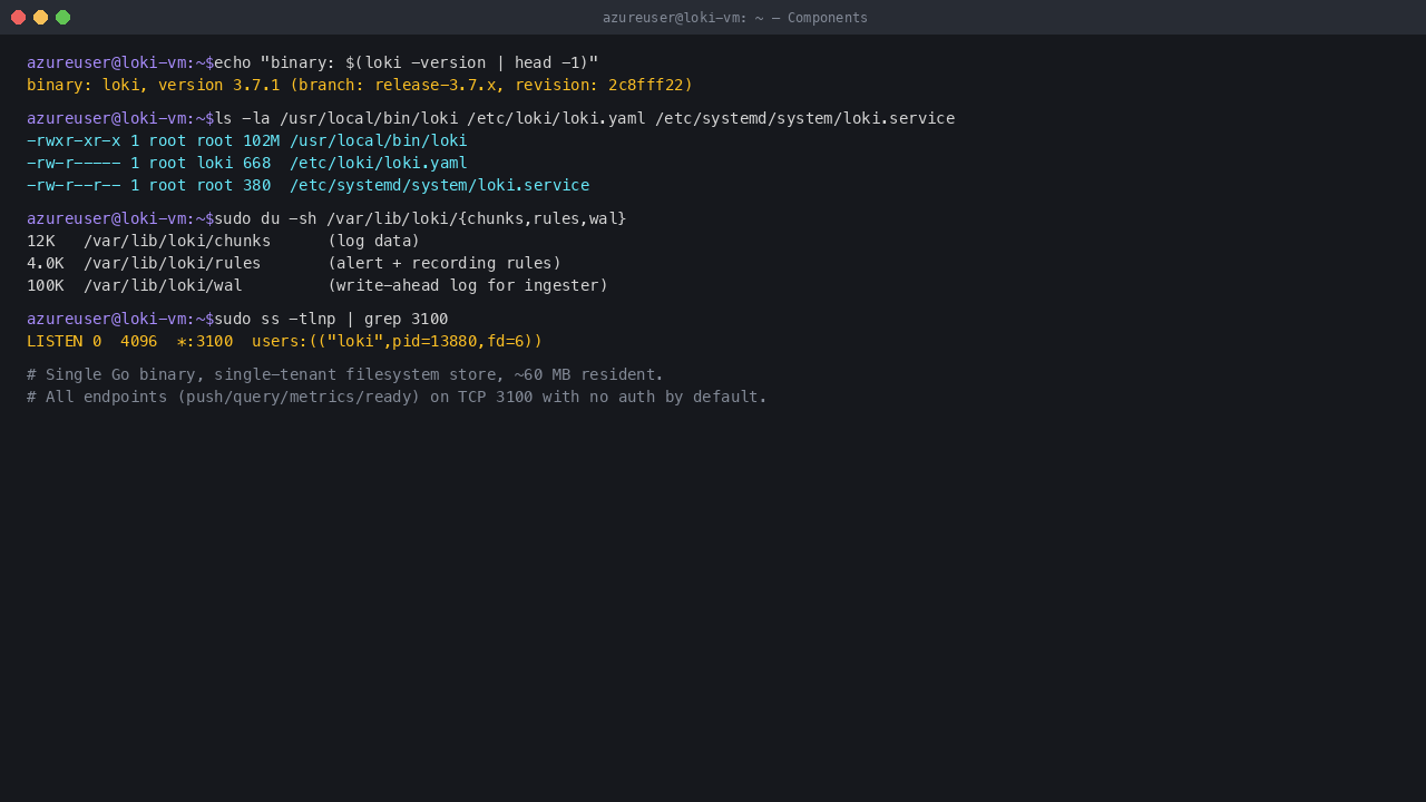 Loki binary 102 MB; config 668 bytes; data dir uses chunks/rules/wal subdirs; ~60 MB resident
