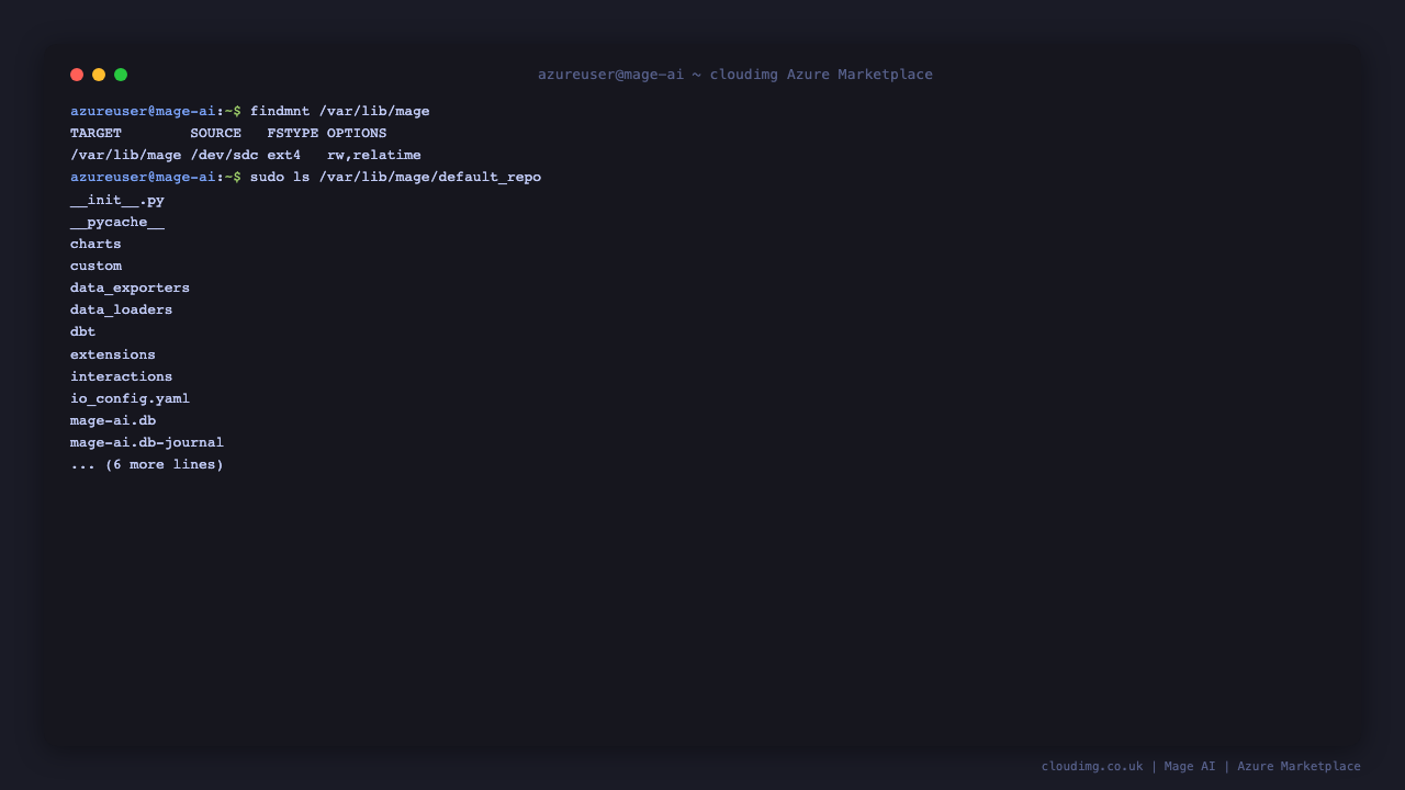 The Mage project mounted on the dedicated data disk and its contents
