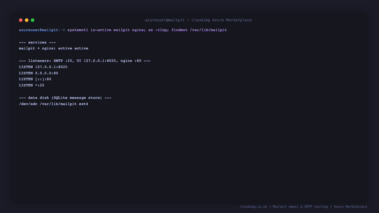The mailpit and nginx services active, the SMTP listener on port 25, the web UI on loopback 8025 and nginx on port 80, and the dedicated data disk mounted at /var/lib/mailpit