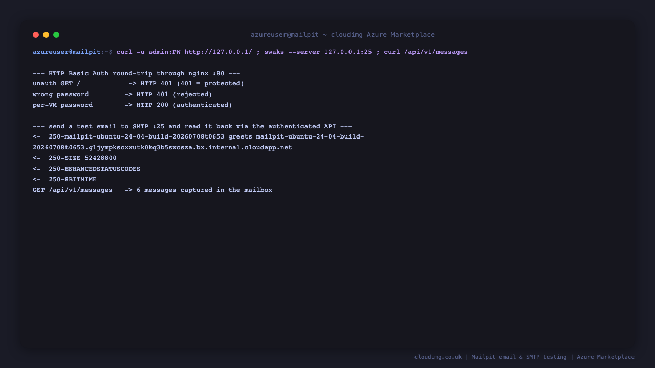 The HTTP Basic Auth round-trip returning 401 unauthenticated and 200 with the per-VM password, a test email delivered to SMTP port 25, and the authenticated messages API reporting the captured mailbox count