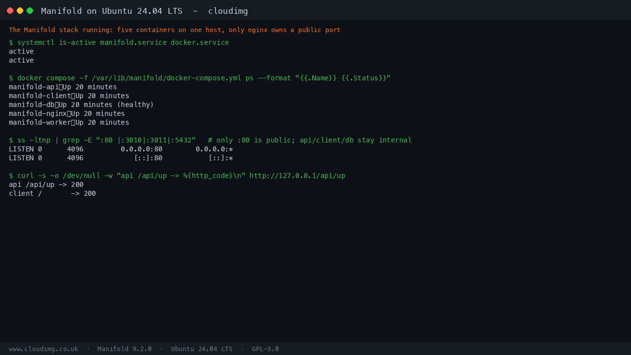 The Manifold stack: five containers on one host, with only nginx owning a public port