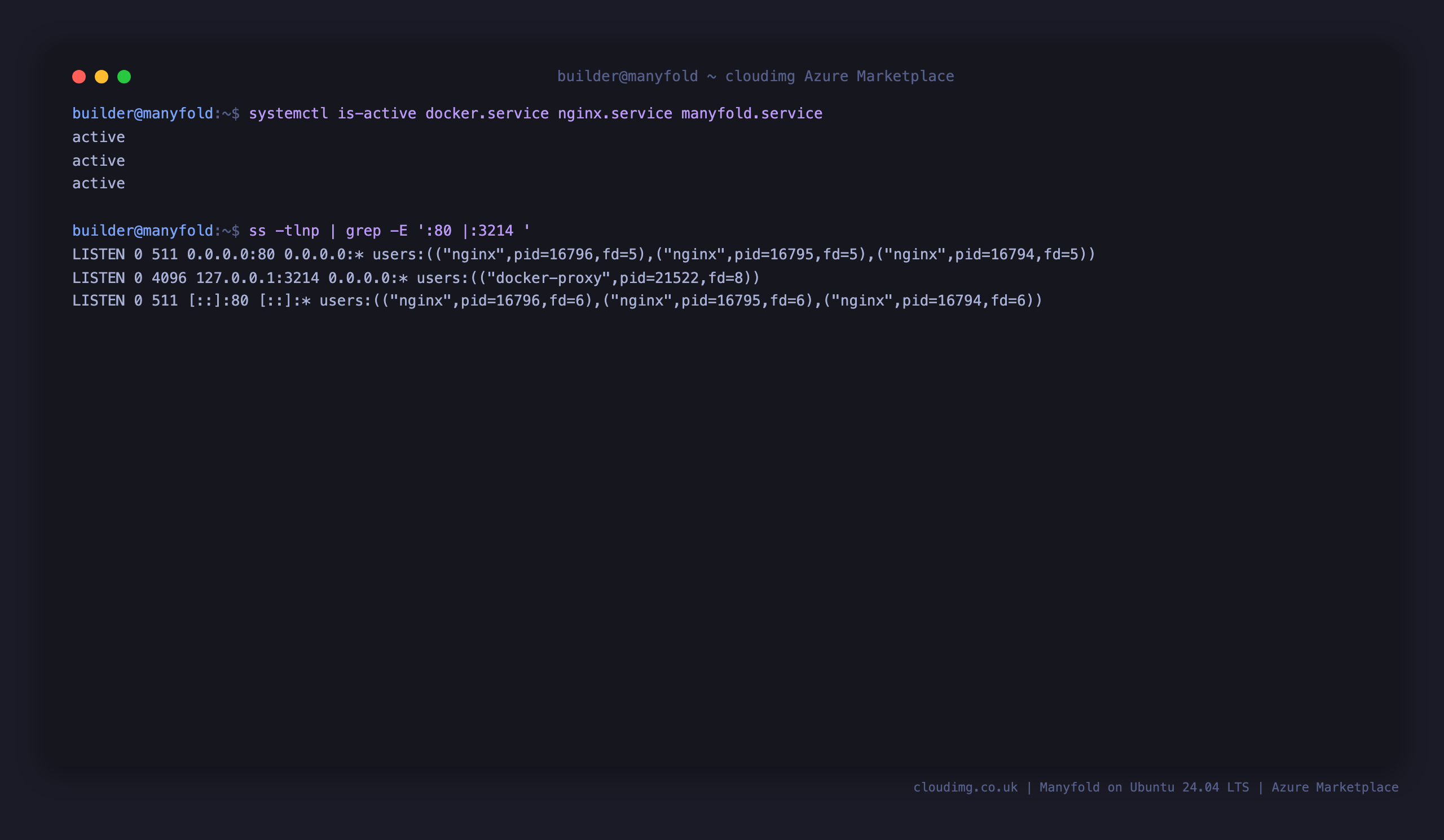 Docker, nginx and Manyfold systemd services active, with nginx public on port 80 and the app on loopback 3214