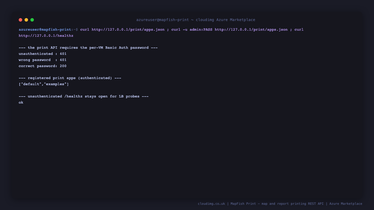 The Basic Auth round trip returning 401 unauthenticated, 401 for a wrong password, 200 with the per-VM password, the registered print apps including examples, and the unauthenticated /healthz endpoint returning ok