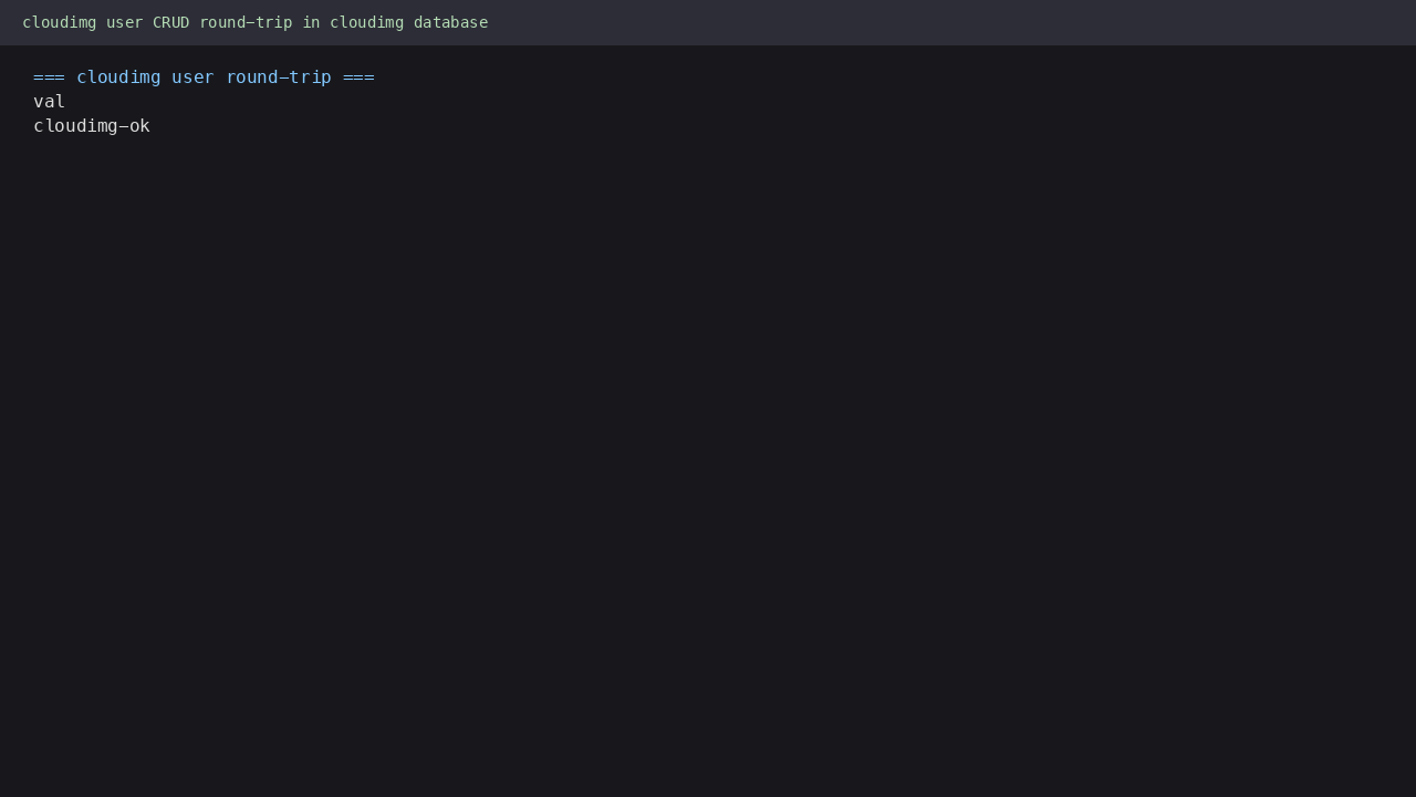 cloudimg user CREATE/INSERT/SELECT/DROP round-trip in the cloudimg database