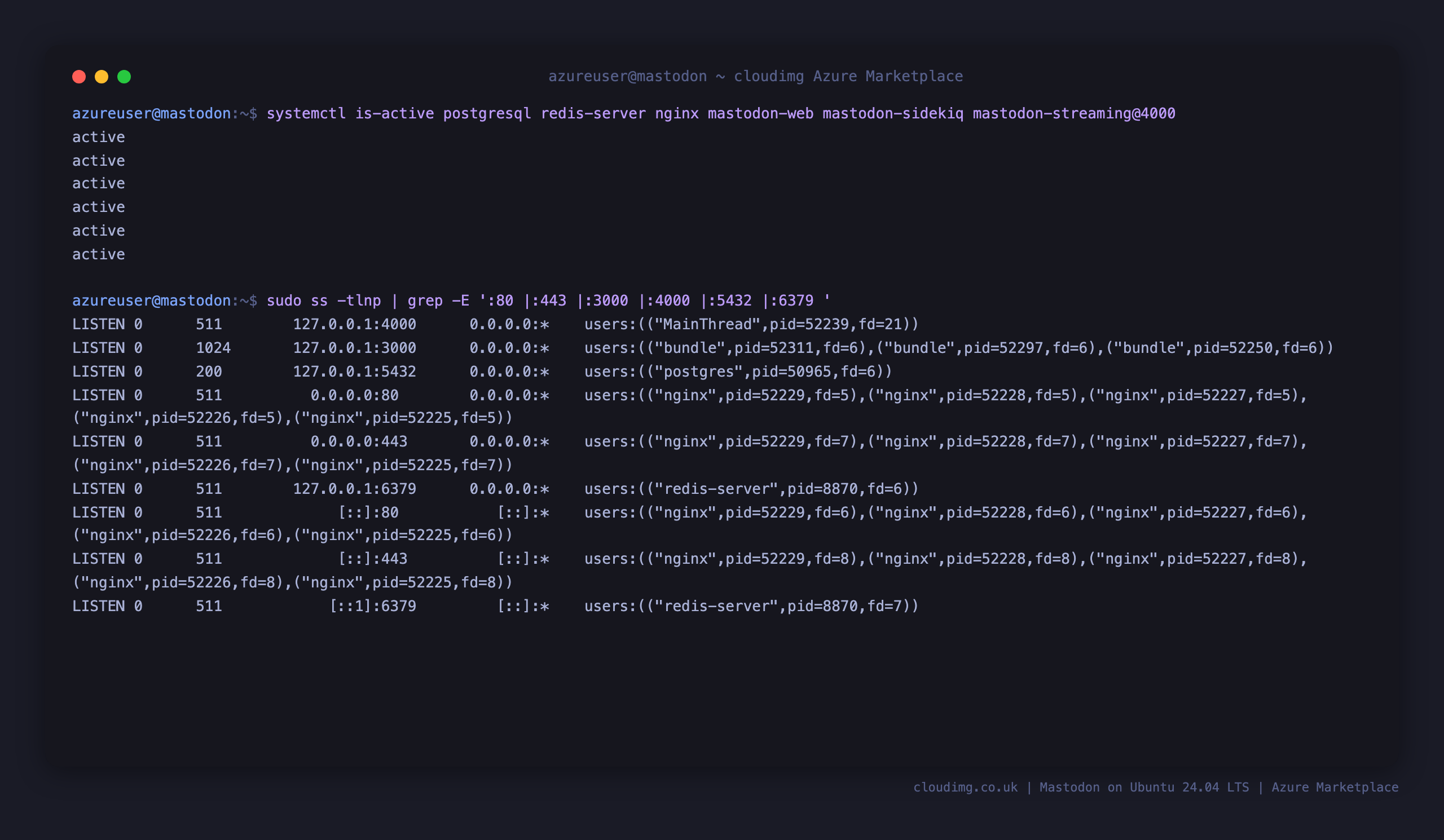 Mastodon services active and the loopback listeners for Puma, streaming, PostgreSQL, Redis and nginx