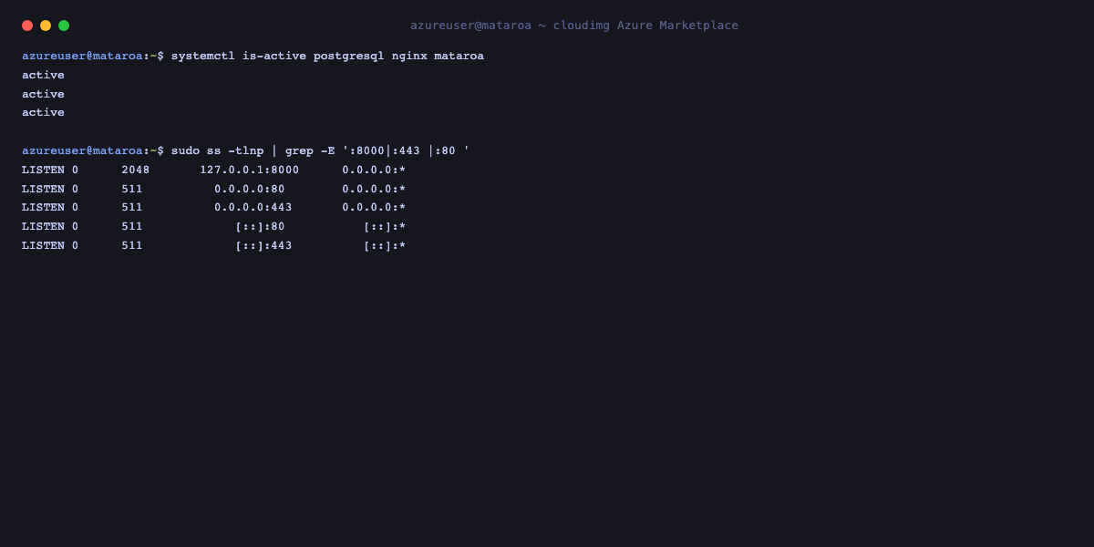 systemctl reports postgresql, nginx and mataroa all active, and ss shows gunicorn bound to 127.0.0.1:8000 loopback only with nginx listening on port 80 and 443