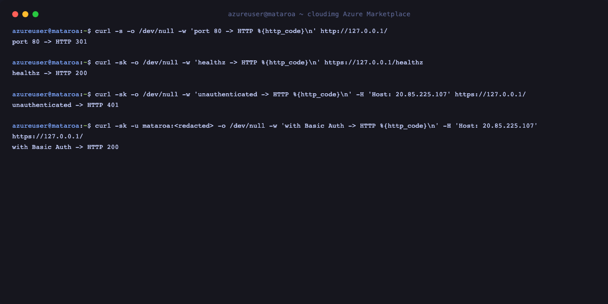 curl showing port 80 returning a 301 redirect, the healthz probe returning 200, an unauthenticated request returning 401 and a request with Basic Auth returning 200, with the password redacted