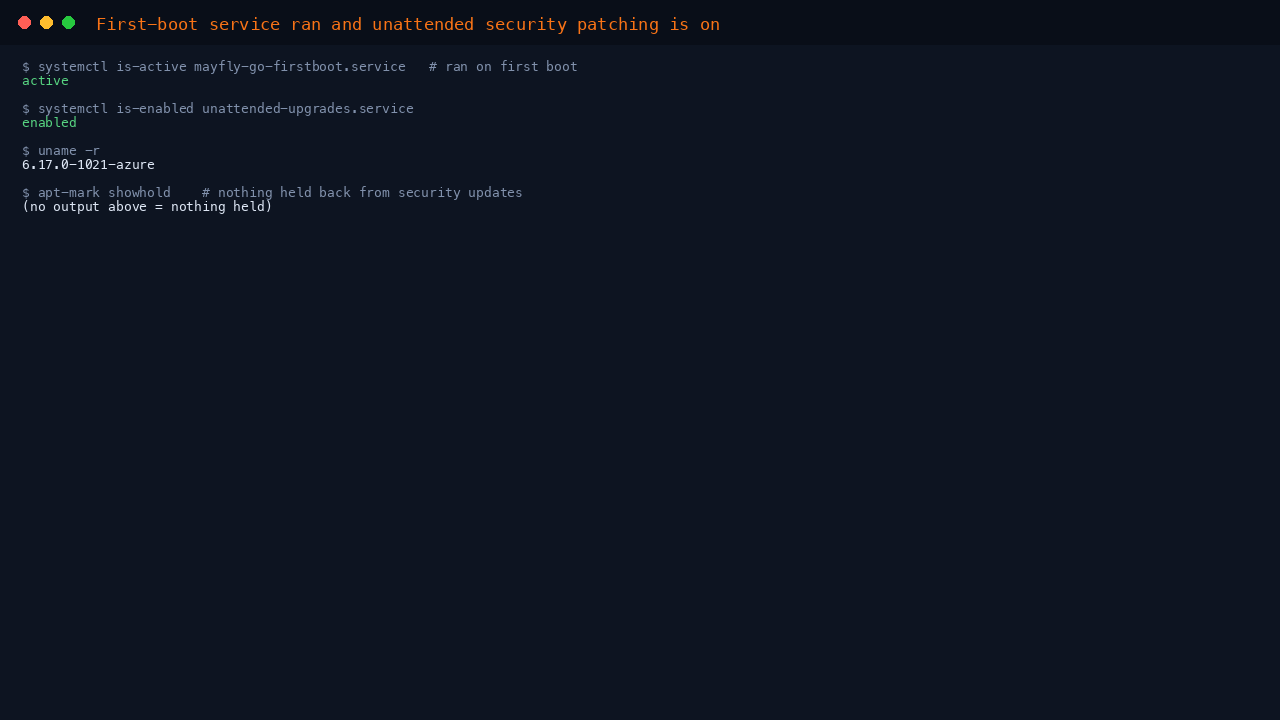 The first-boot service has run and unattended security upgrades are enabled on the running image