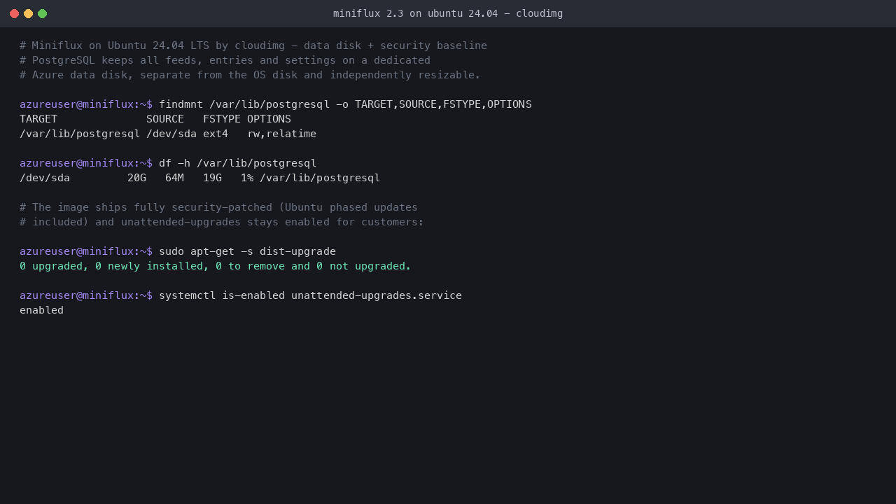 Miniflux runtime and data disk