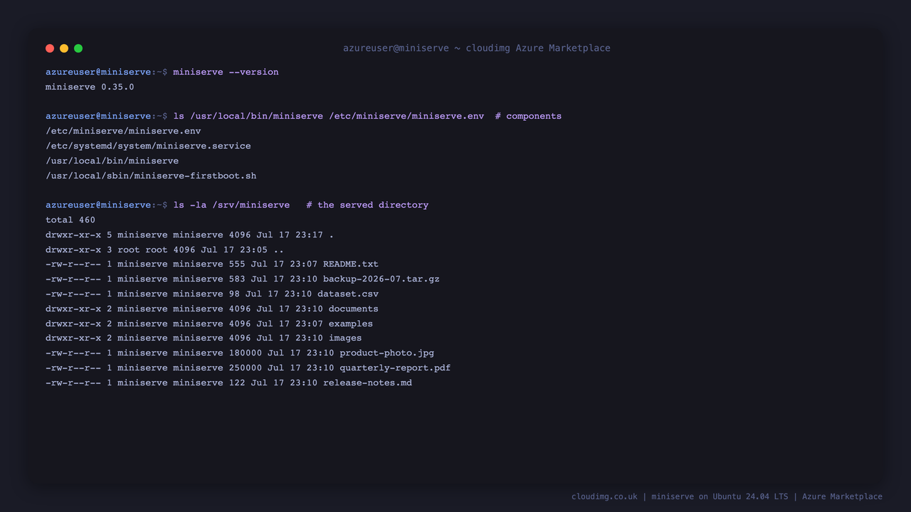 miniserve reporting version 0.35.0, the installed component paths, and a listing of the served directory owned by the miniserve user