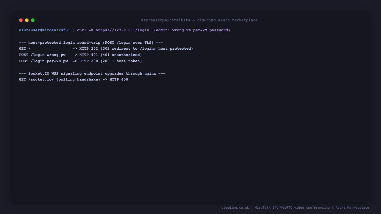 The host protected login round trip over TLS: the root path redirects to the login page, a wrong password returns 401, the per-VM password returns 200 with a host token, and the Socket.IO endpoint responds