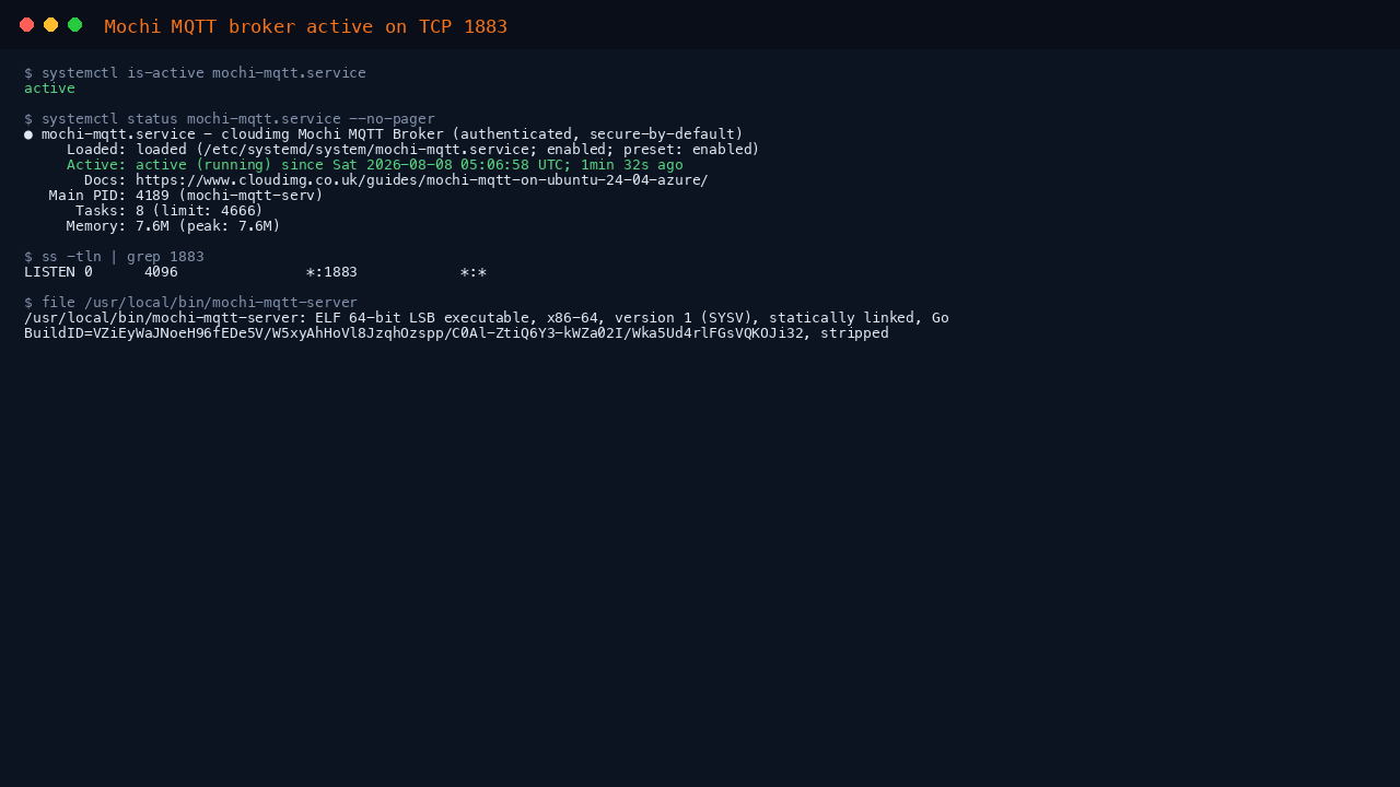 mochi-mqtt.service active (running) on TCP 1883, a single static Go binary