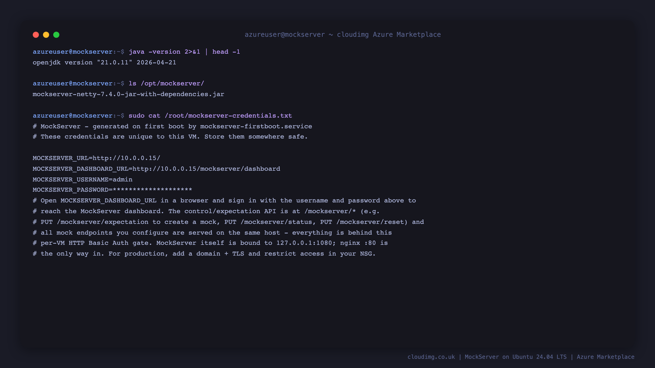 The MockServer version and runnable jar, and the per-VM credentials file with the generated admin password (masked) and the dashboard URL