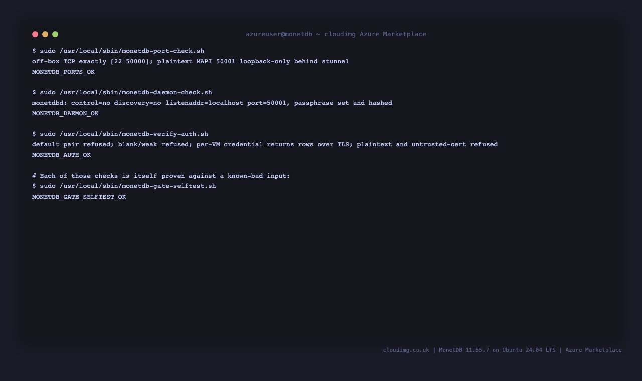MonetDB security posture self-tests