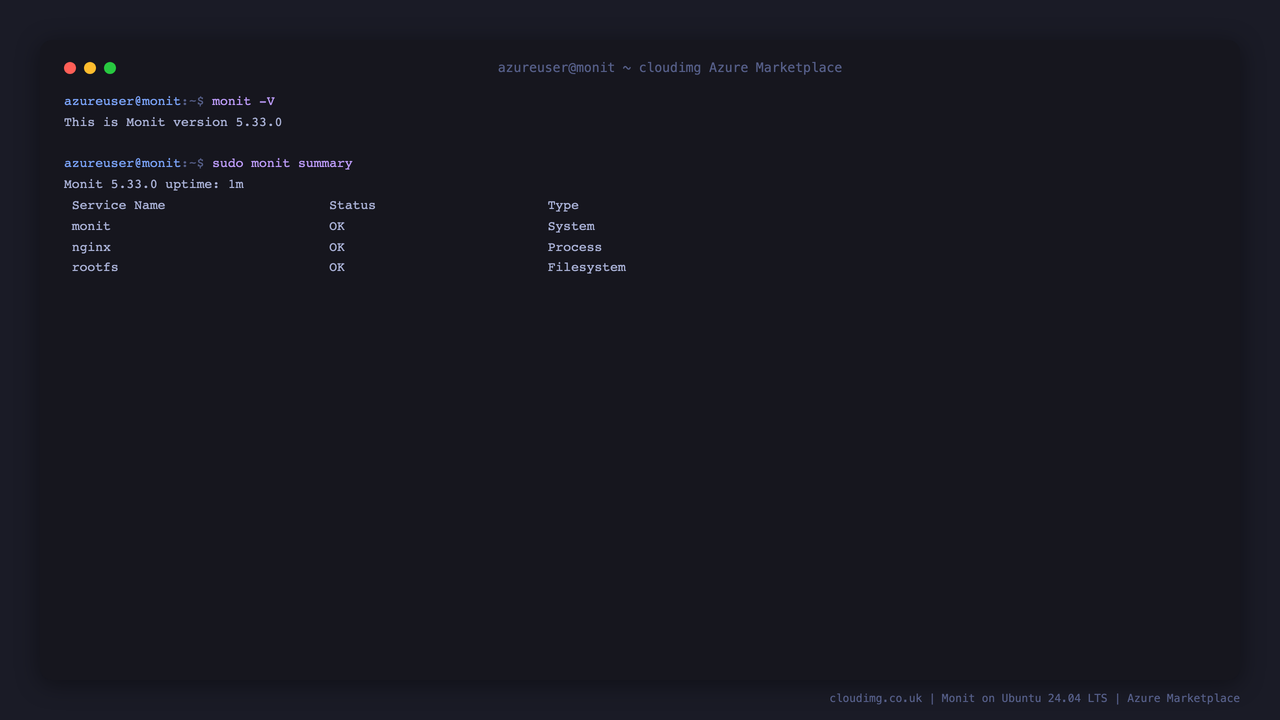 The Monit version and the live status summary showing the System, nginx and rootfs entries all reporting OK