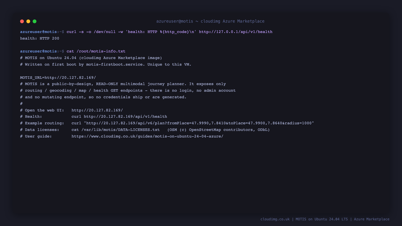 The health endpoint answering 200 and the per VM instance info file