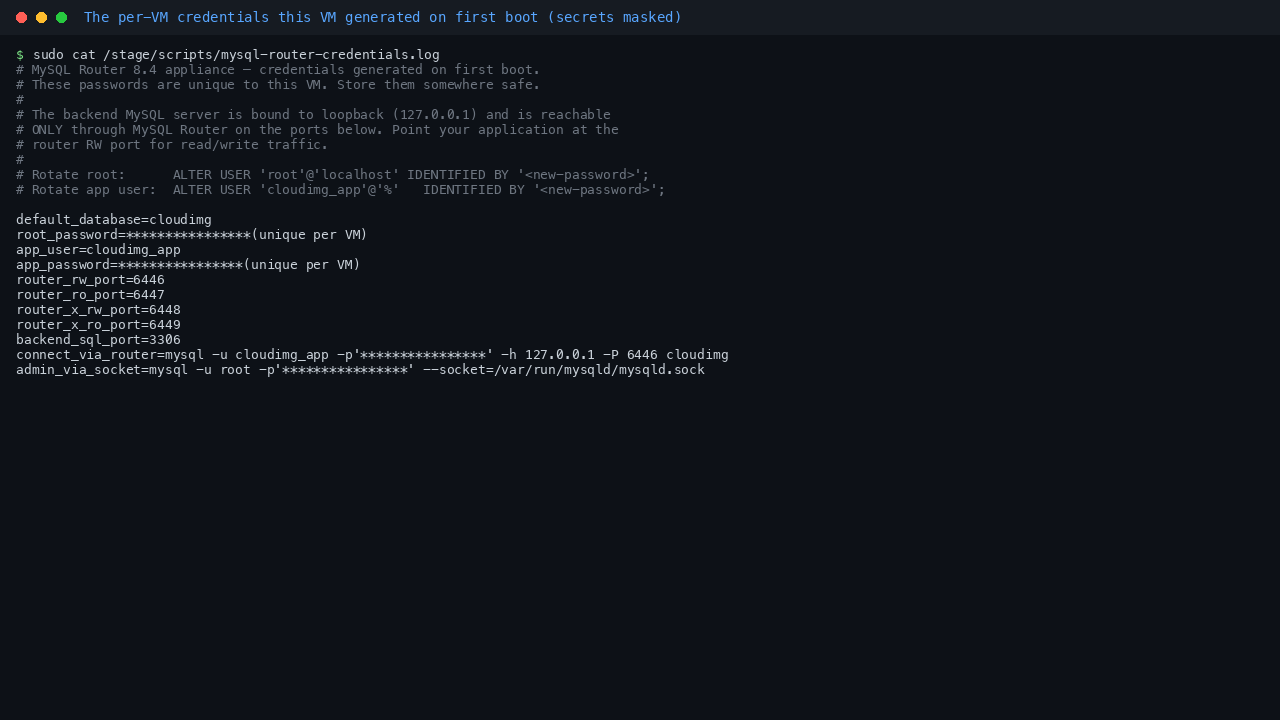 The per-VM MySQL root and application credentials generated on first boot, with secrets masked