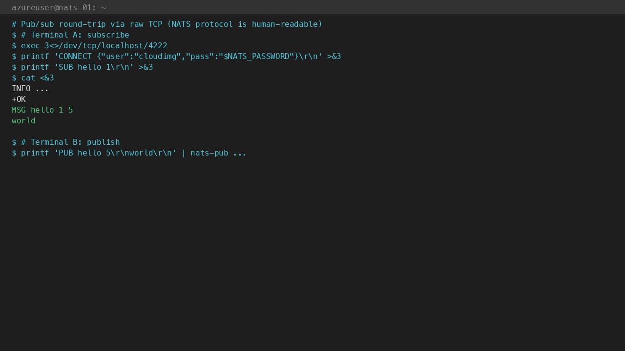 Pub/sub round trip via raw TCP — SUB on subject hello, MSG payload world received