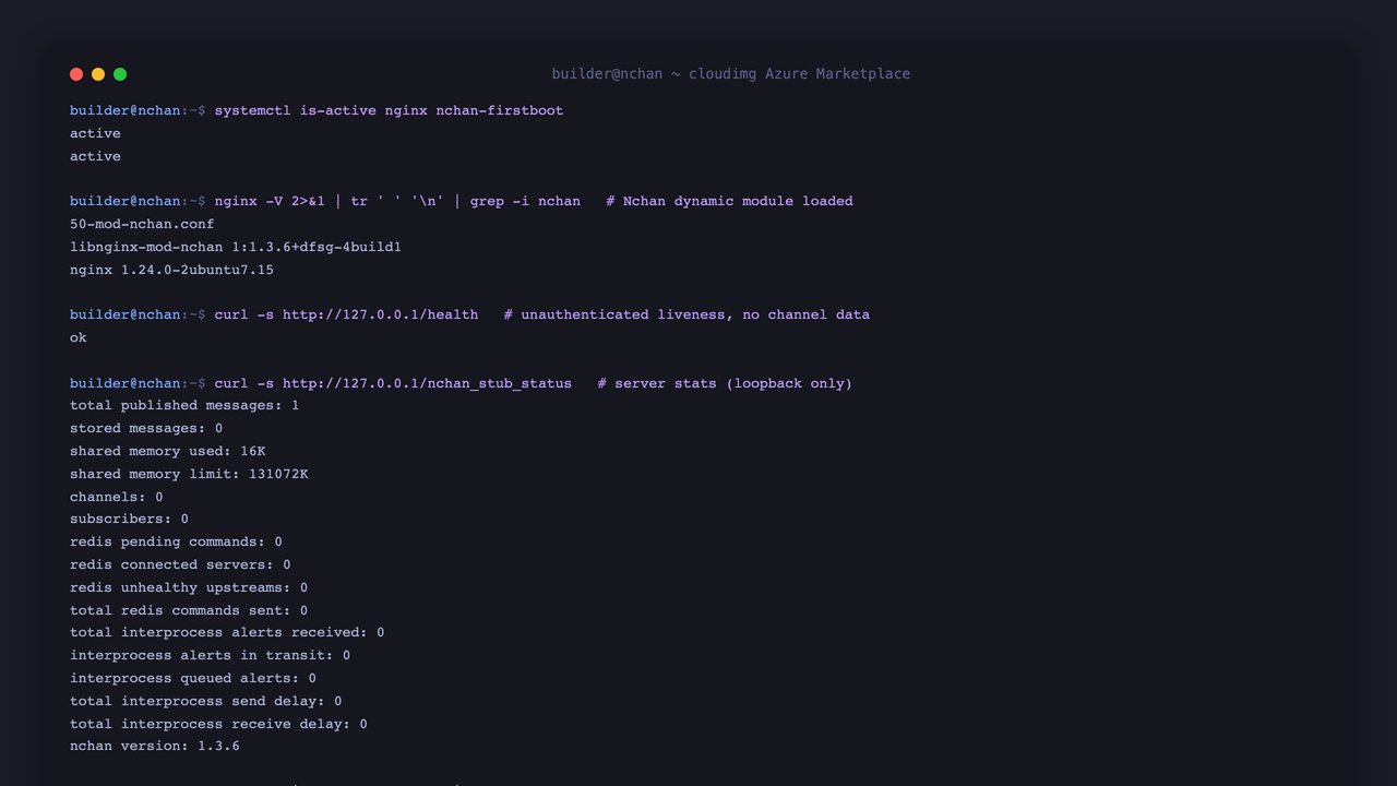 The nginx and nchan firstboot services report active, the Nchan dynamic module is loaded with nginx 1.24.0 and libnginx mod nchan 1.3.6, the health endpoint returns ok, the loopback only statistics endpoint reports nchan version 1.3.6, and the listener set is the minimal 22, 53 and 80