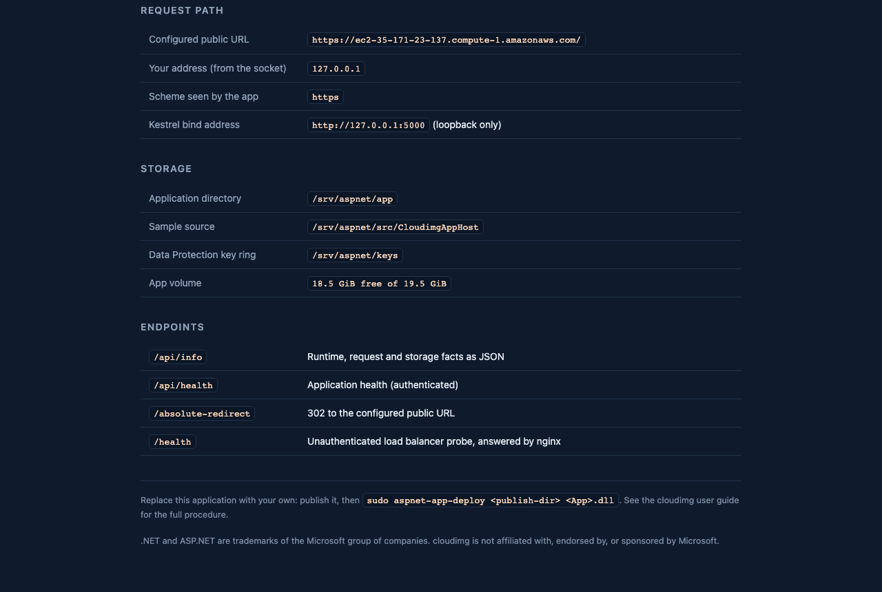 The lower half of the landing page: the request path, the storage table (application directory, sample source, Data Protection key ring and the free space of the 20 GiB app volume) and the endpoints /api/info, /api/health, /absolute-redirect and /health