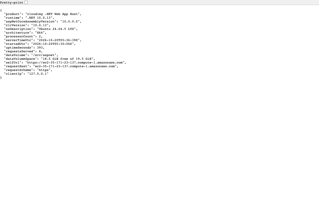 The /api/info JSON in a browser: product, runtime .NET 10.0.13, CLR version, operating system, processor count, request counter, app volume space, the configured selfUrl, the request host and scheme, and the client IP