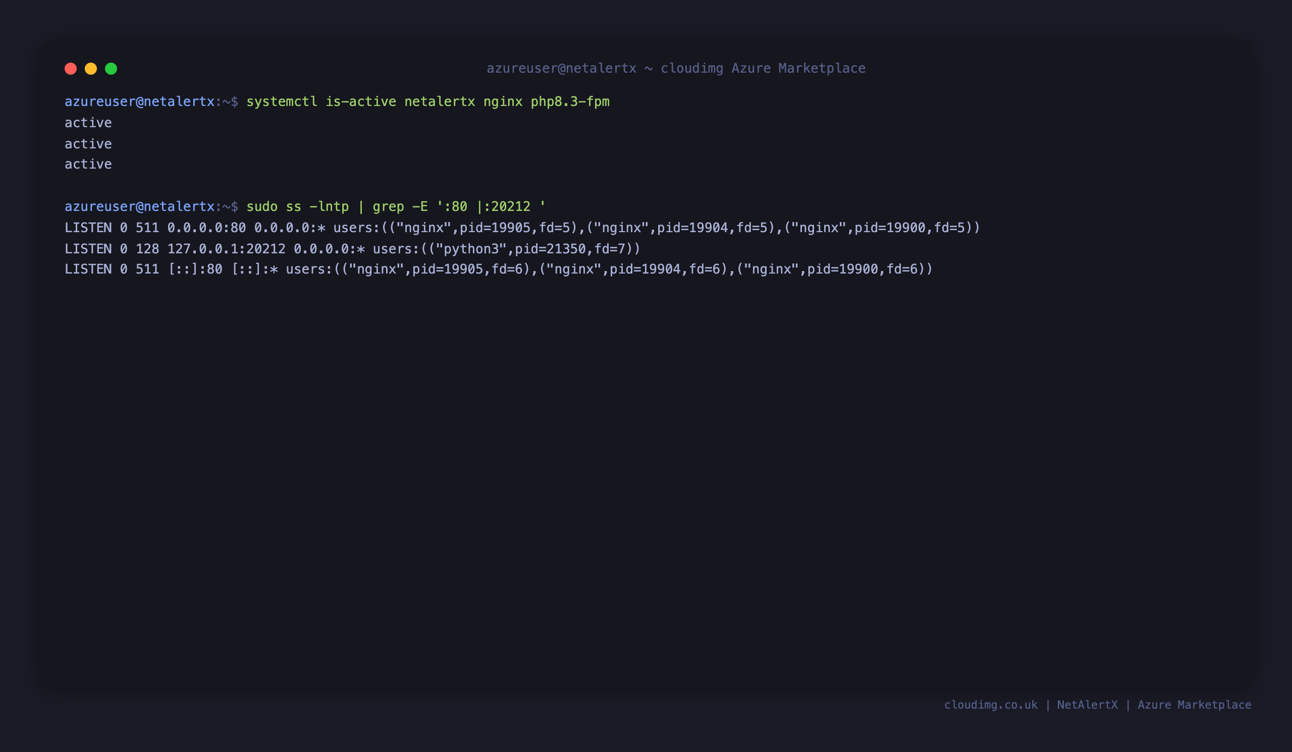 The three NetAlertX services reporting active, with nginx listening on port 80 and the application API bound to 127.0.0.1:20212 so the authentication gate cannot be bypassed