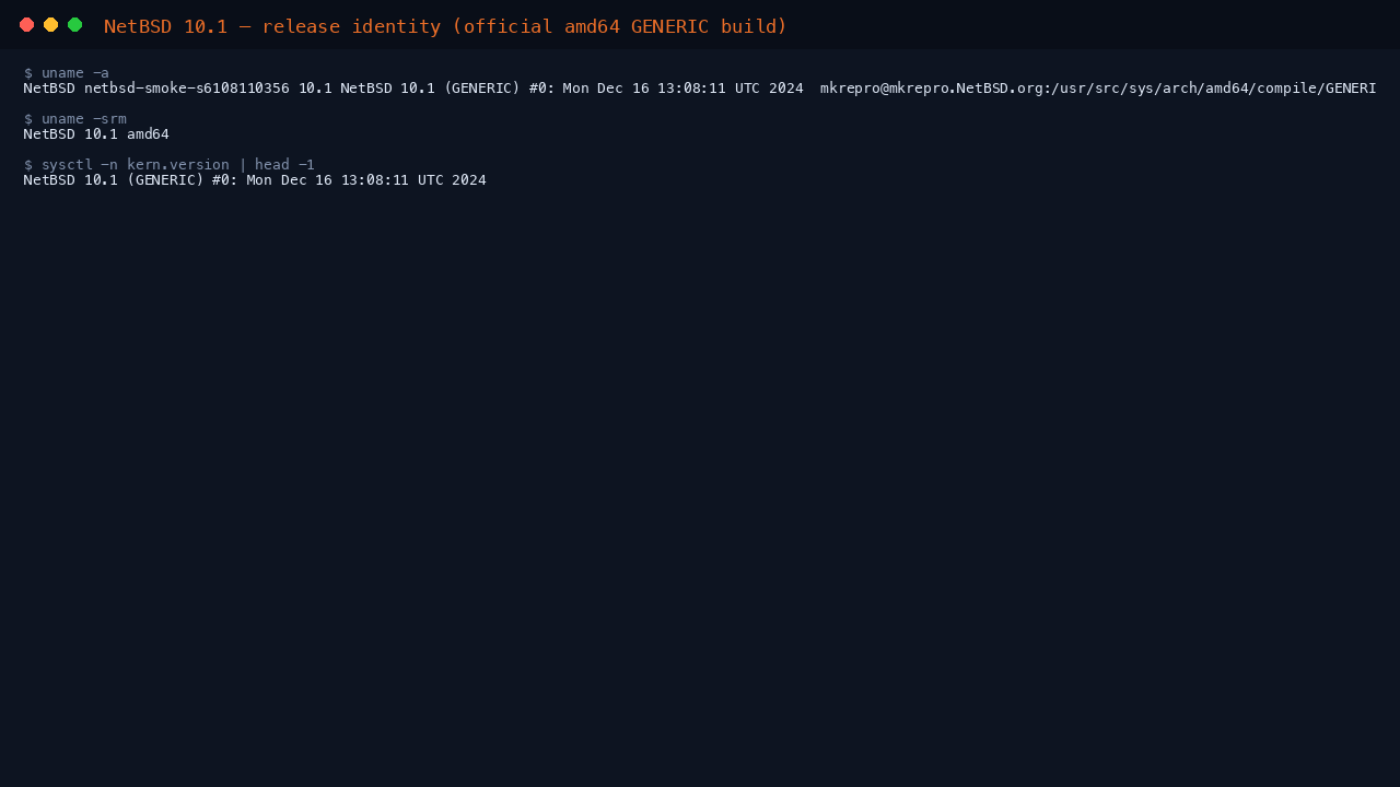 NetBSD 10.1 GENERIC release identity from uname on the running Azure VM