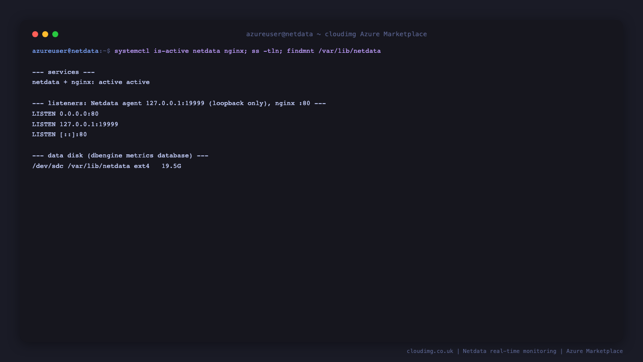 The netdata and nginx services active, the Netdata agent listening on loopback 127.0.0.1:19999, nginx on port 80, and the dedicated data disk mounted at /var/lib/netdata