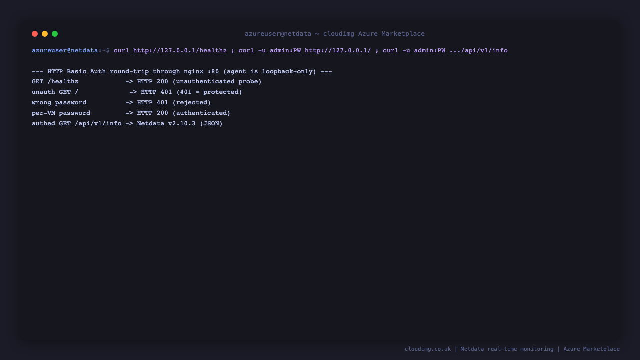 The HTTP Basic Auth round-trip returning 401 unauthenticated, 401 for a wrong password, 200 with the per-VM password, and the authenticated Netdata info API returning the agent version as JSON