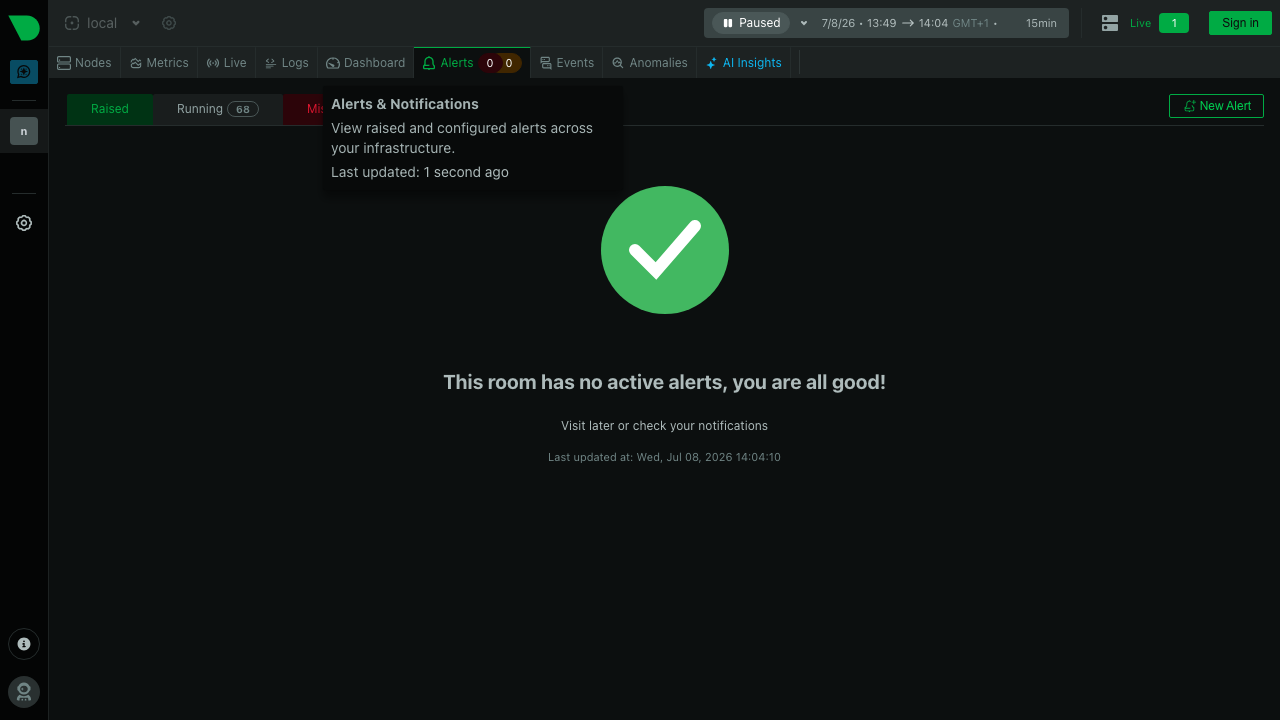 The Netdata alerts view listing the pre-configured health alarms and their current status for this host